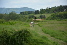 triatlon