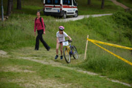 triatlonv