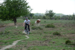 triatlon