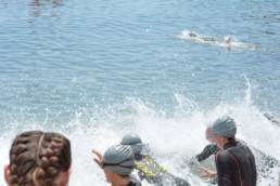triatlon