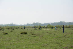 triatlon